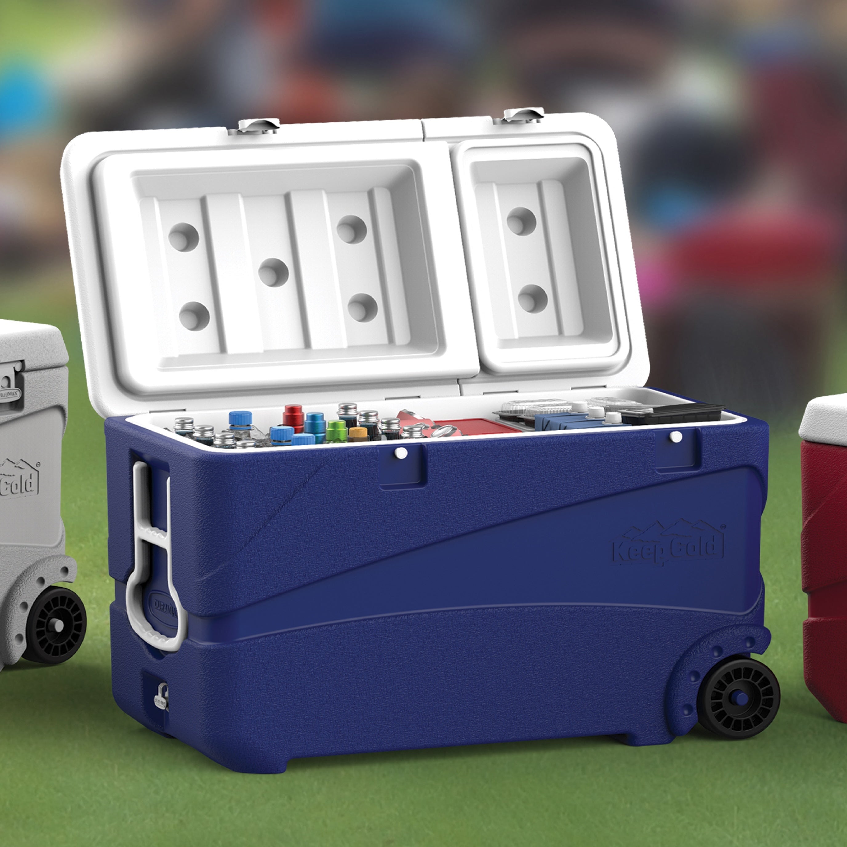 Blue cooler box with open lid showing contents on a green surface