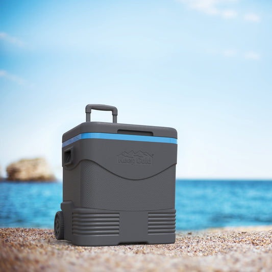 Grey and blue Trolley icebox 45 L has an elevated body design to eliminate contact with hot ground and keep products cool. 